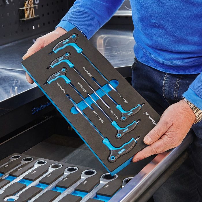 6-teiliger Innensechskantschlüssel-Satz mit T-Griff im Schaumstoffmodul - H2 bis H6